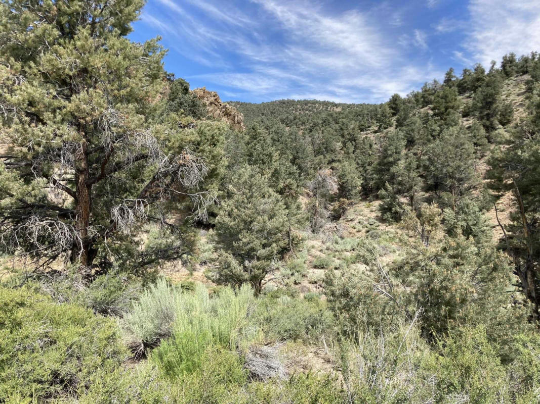 LOT 5 GOAT RANCH CUTOFF # 5, UNINCORPORATED AREA, CA 93541, photo 1 of 13